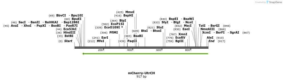 111793_map