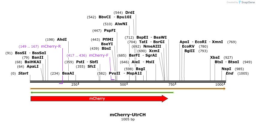111794_map