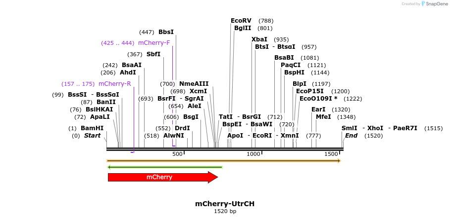 111796_map