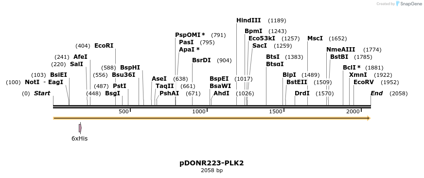 11180_map