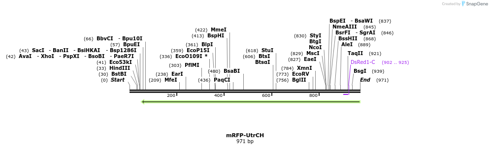 111802_map