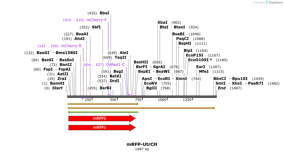 111803_map