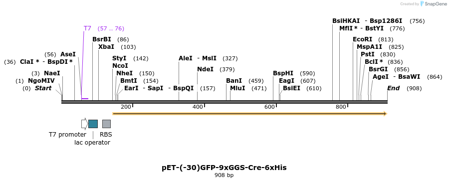 111806_map