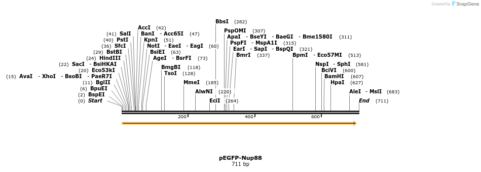 111811_map