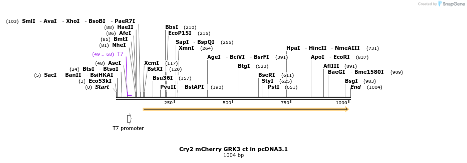 111813_map