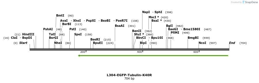 111817_map
