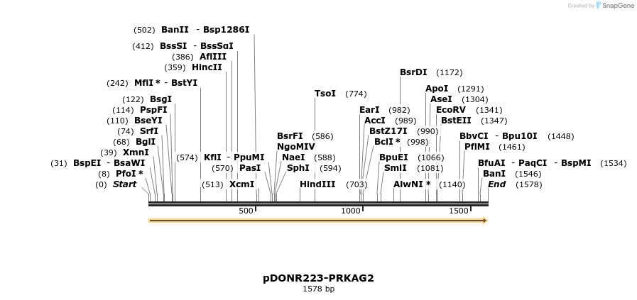 11182_map