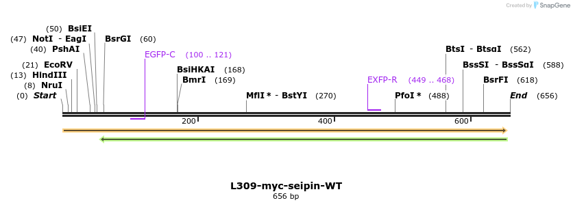 111821_map