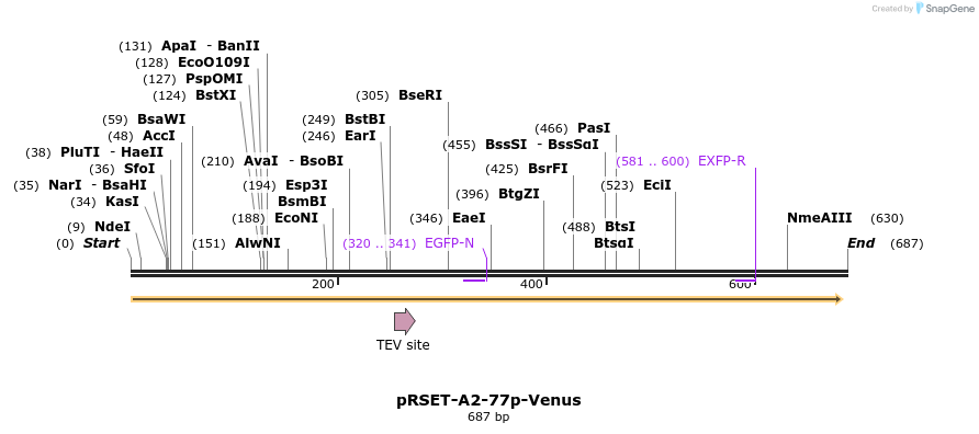 111838_map