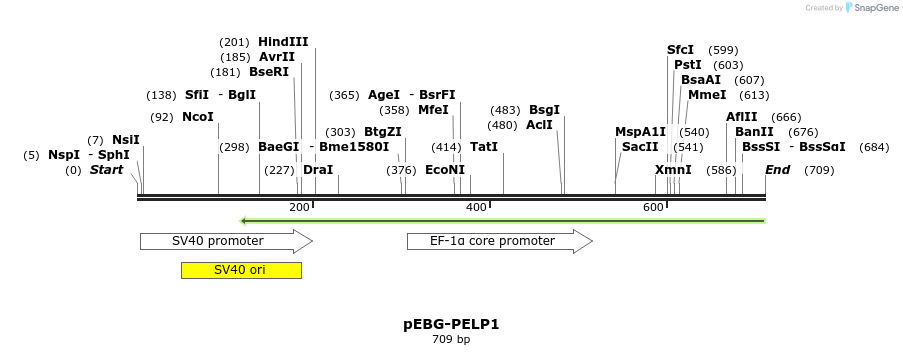 111849_map