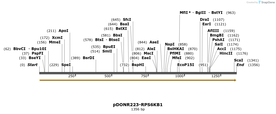 11185_map
