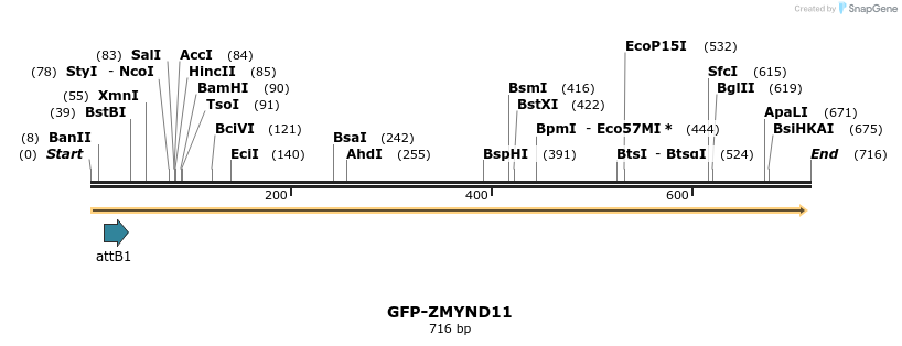 111869_map