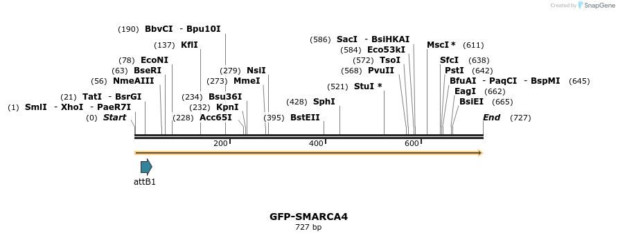 111874_map