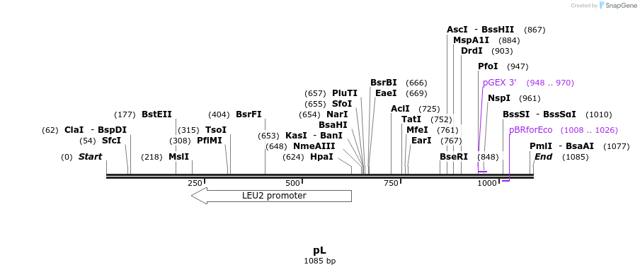 111896_map