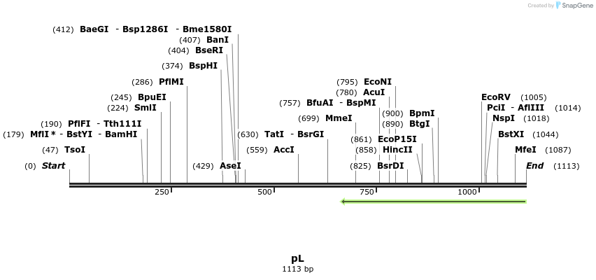 111905_map