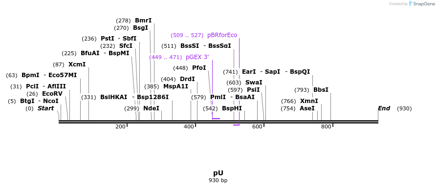 111908_map