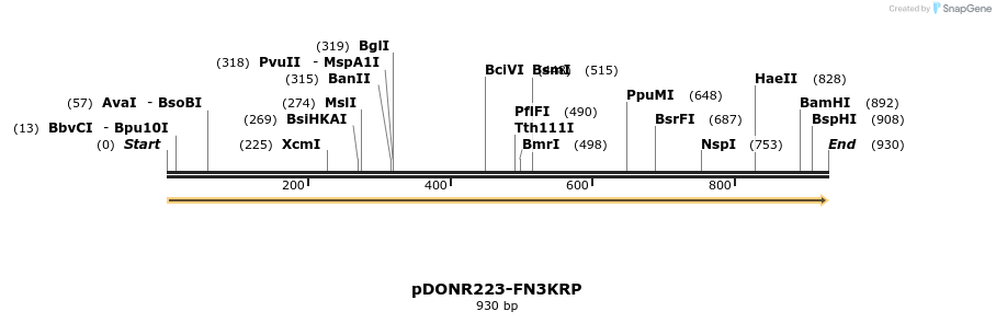 11192_map