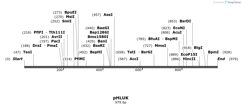 111927_map