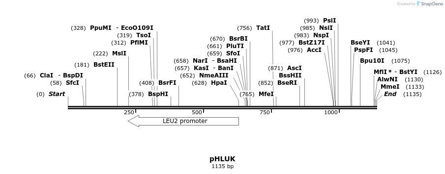 111929_map