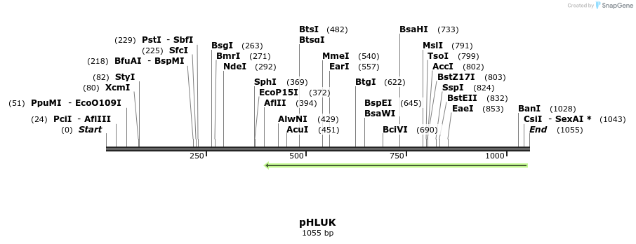 111931_map