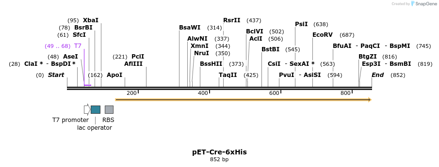 111942_map