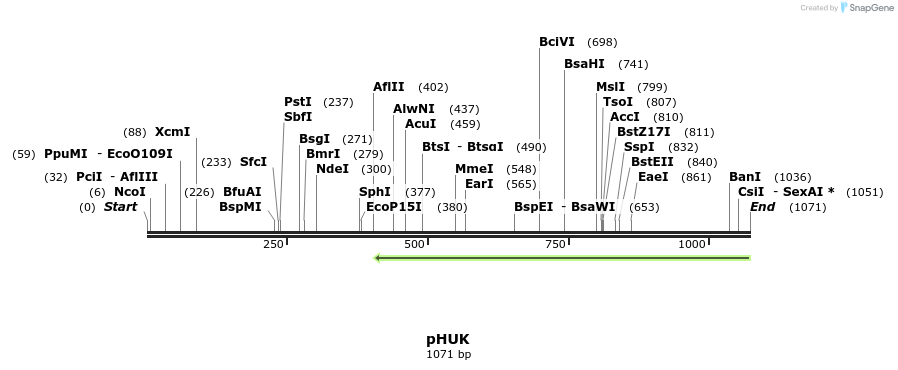 111957_map