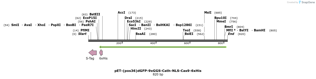 111959_map
