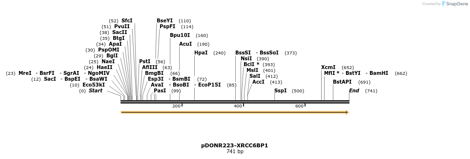 11196_map