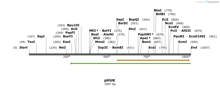 111961_map