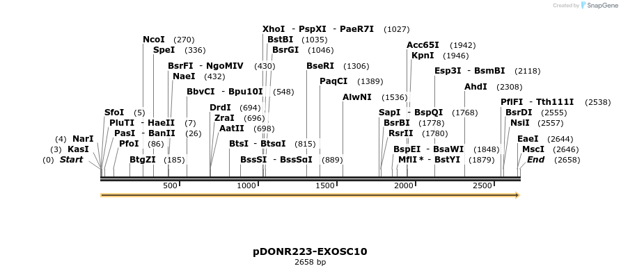 11197_map