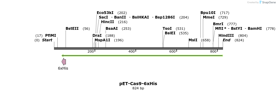 111977_map