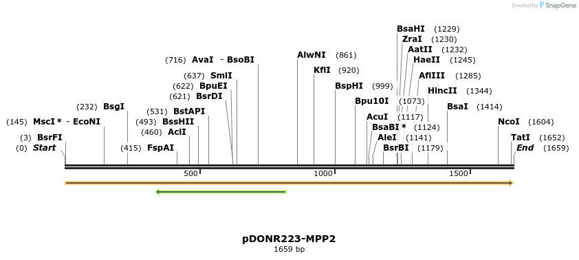 11198_map