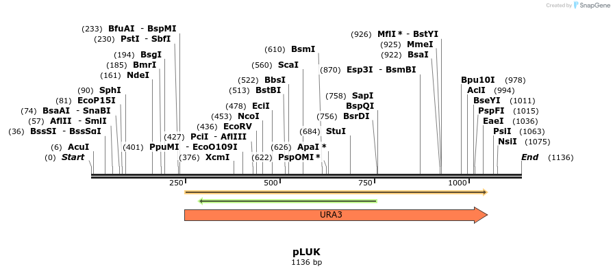 111987_map