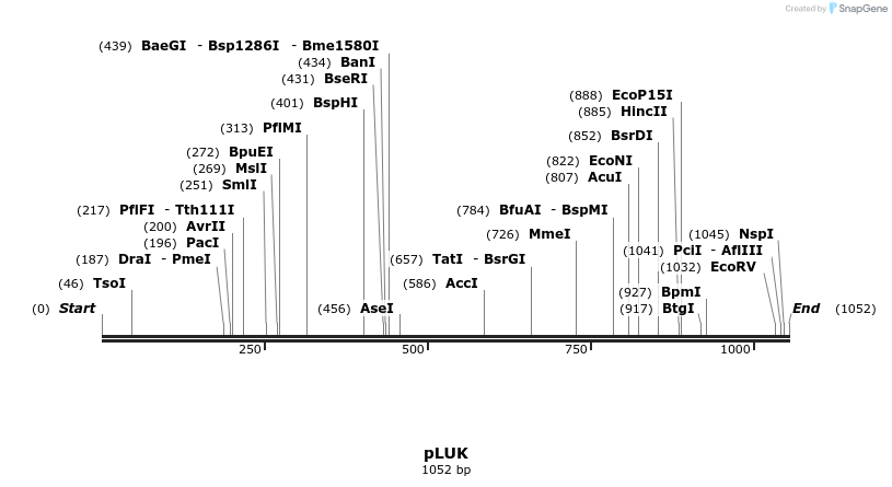 111992_map