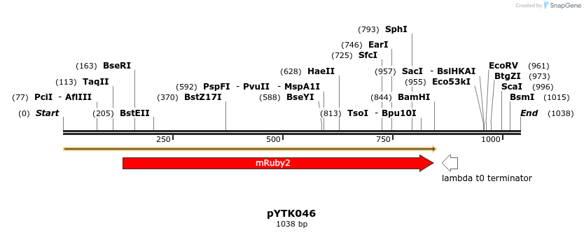 111997_map