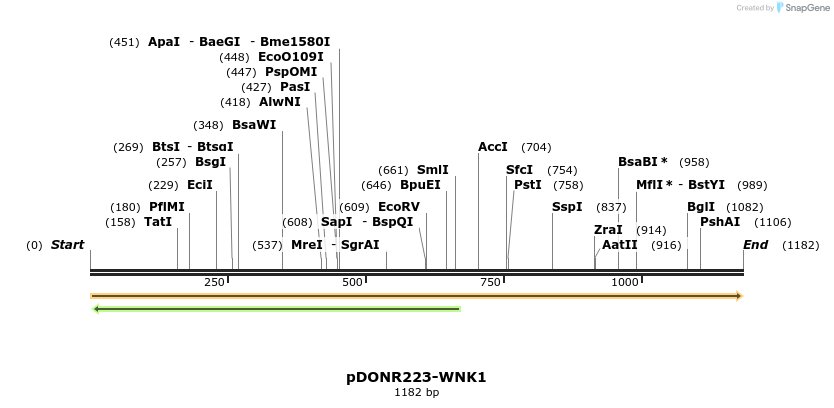 11201_map
