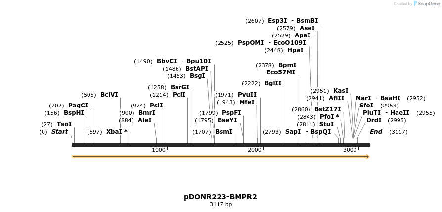 11202_map