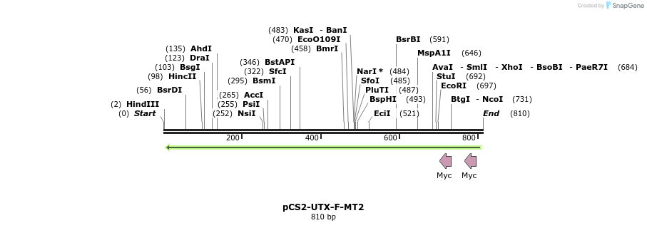 112020_map