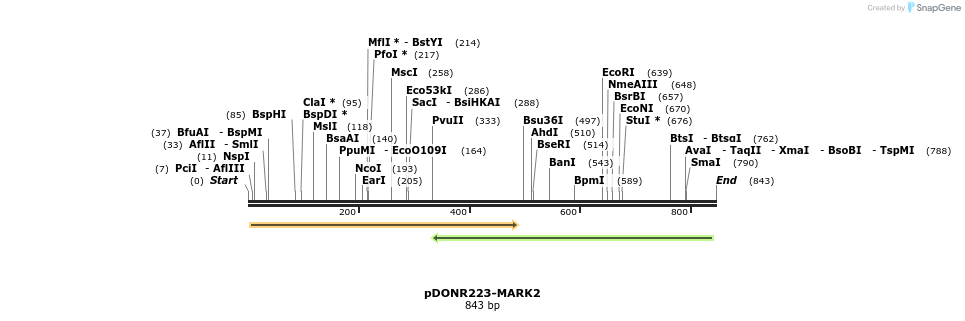112031_map