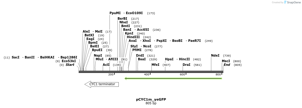 112034_map