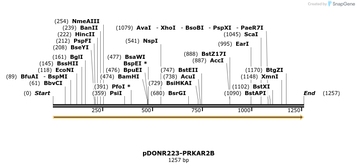 11204_map