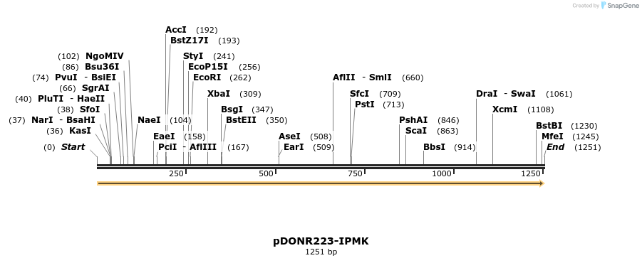 11205_map