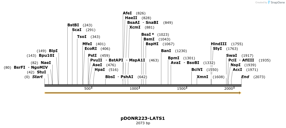 11206_map