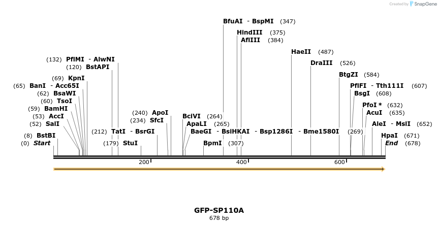 112065_map
