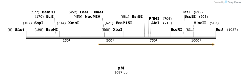 112070_map