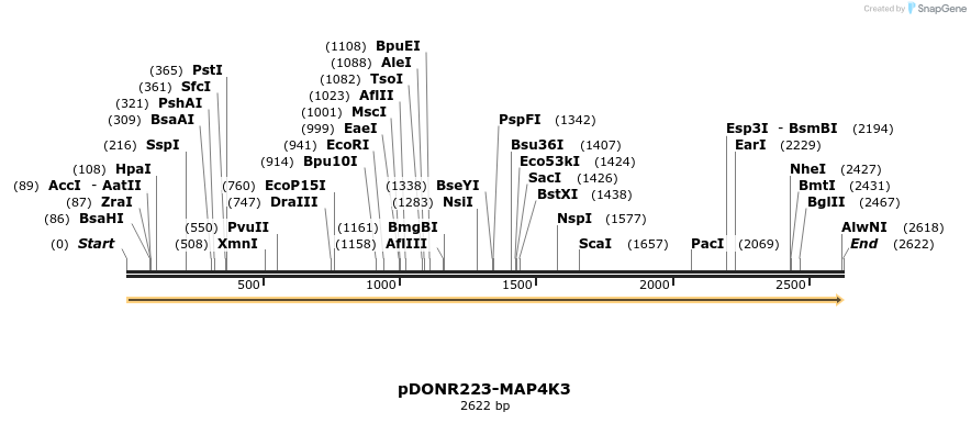 11208_map