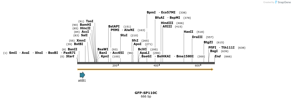 112080_map