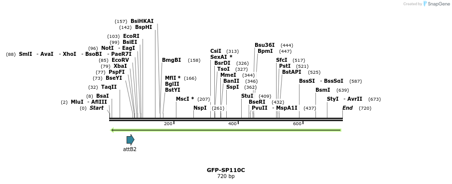 112082_map