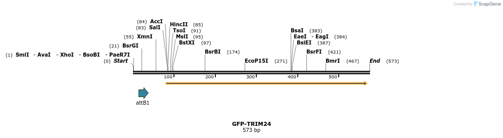 112087_map