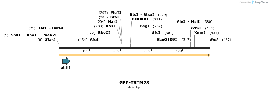 112089_map